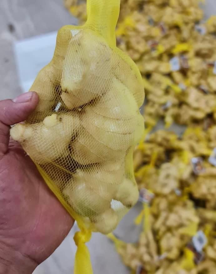 https://dragon-vietnam.com/IMG_9959 (1)